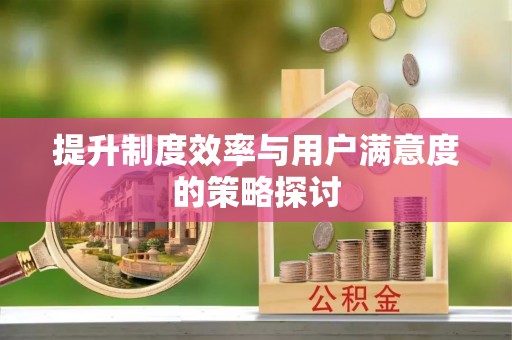 文圣提升制度效率与用户满意度的策略探讨