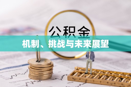 文圣机制、挑战与未来展望